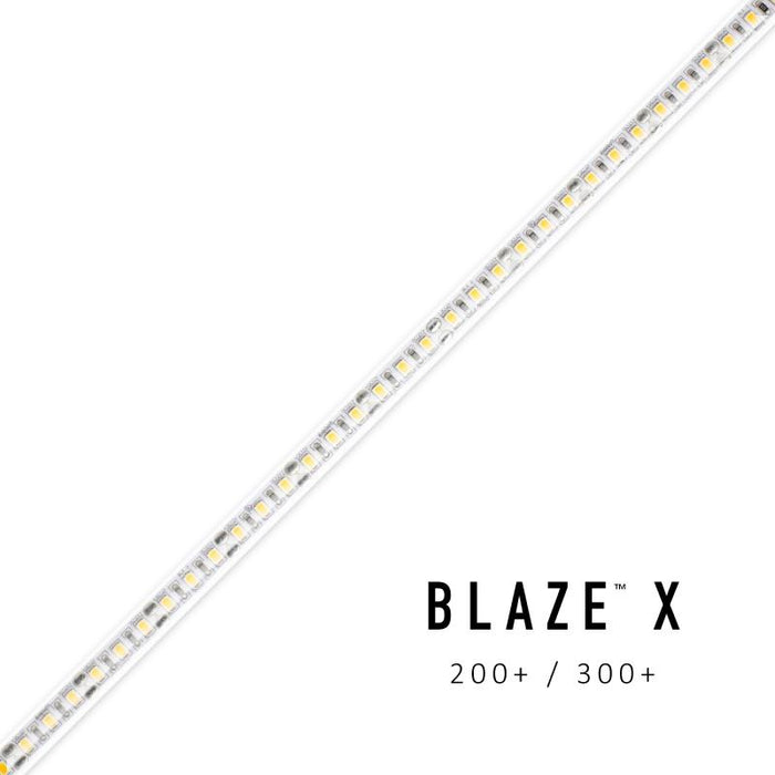 Diode LED BLAZE X Wet location 300 4.3W/ft LED Tape Light