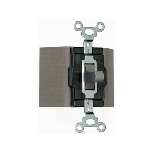 Wattstopper 1250 Pass and Seymour Single-Pole Double Throw Switch, 15A - Gray