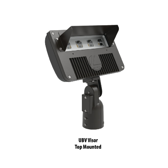 Lithonia DSXF2UBV Upper/Bottom Visor Accessory