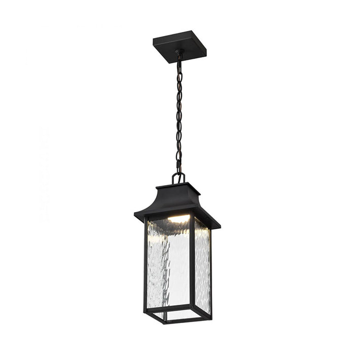 Nuvo 62-5996 Starfish Austen Collection 1-lt 8" LED Outdoor Hanging Light