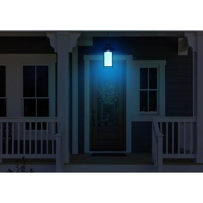 Nuvo 62-5996 Starfish Austen Collection 1-lt 8" LED Outdoor Hanging Light