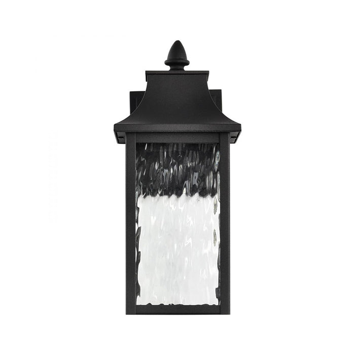 Nuvo 62-5997 Starfish Austen Collection 1-lt 13" Tall LED Outdoor Wall Light