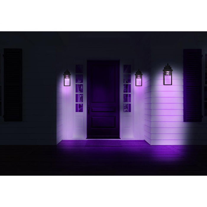 Nuvo 62-5997 Starfish Austen Collection 1-lt 13" Tall LED Outdoor Wall Light