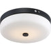 Nuvo 15" 20W LED Flush Light, 3000K