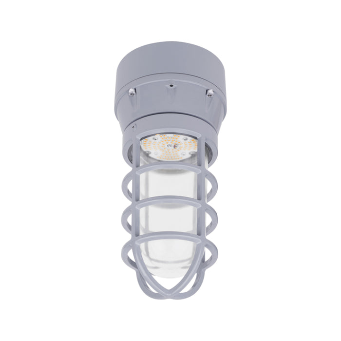 Ledvance 66823 20W Jelly Jar Hazardous Location Light, 2200 lm, 5000K, 120-347V