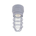 Ledvance 66823 20W Jelly Jar Hazardous Location Light, 2200 lm, 5000K, 120-347V