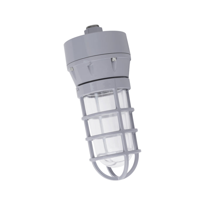 Ledvance 66823 20W Jelly Jar Hazardous Location Light, 2200 lm, 5000K, 120-347V