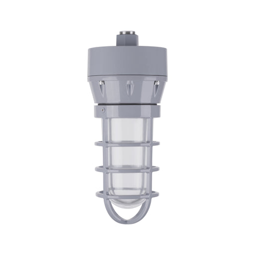 Ledvance 66823 20W Jelly Jar Hazardous Location Light, 2200 lm, 5000K, 120-347V