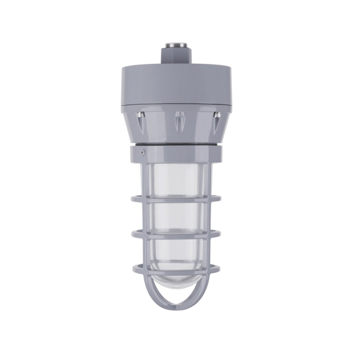 Ledvance 66823 20W Jelly Jar Hazardous Location Light, 2200 lm, 5000K, 120-347V