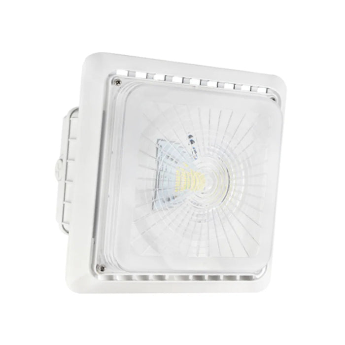 Westgate CGL 100W LED Garage/Canopy Light, 120-277V