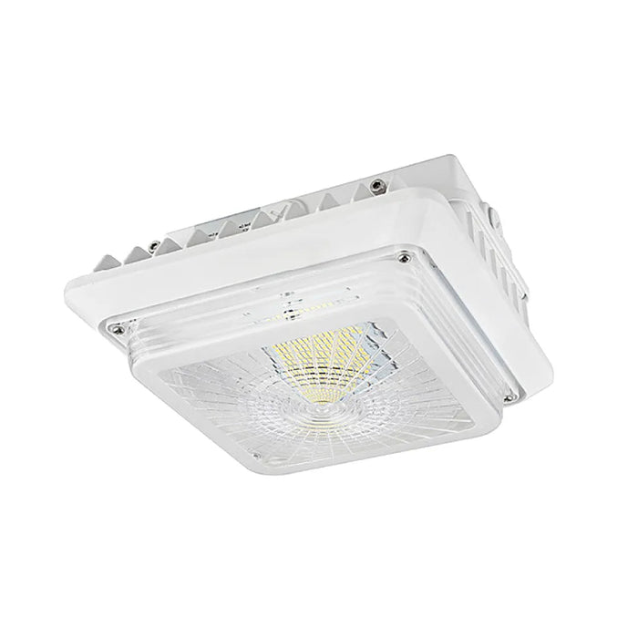 Westgate CGL 55W LED Garage/Canopy Light, 120-277V