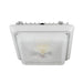 Westgate CGL 55W LED Garage/Canopy Light, 120-277V