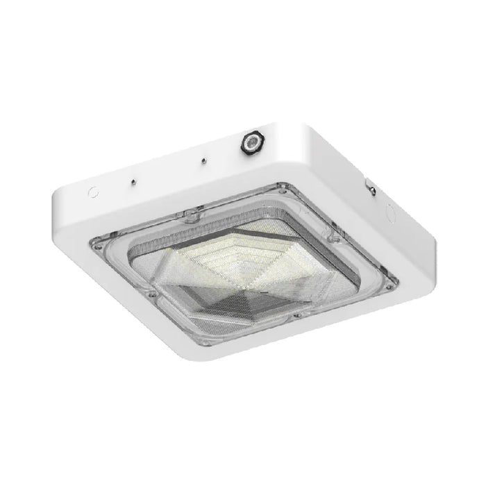 Westgate CXES 30W/45W/60W Square New Concept Garage and Ceiling Lights