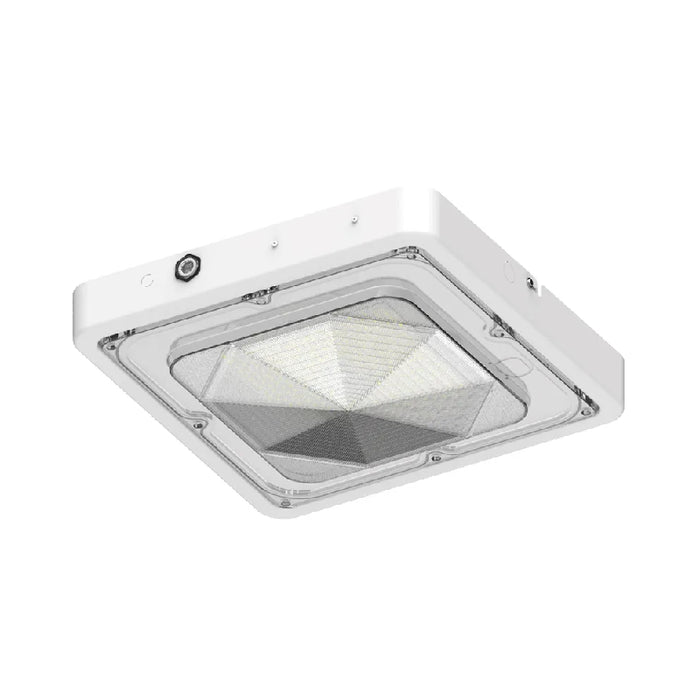 Westgate CXES 40W/60W/80W Square New Concept Garage and Ceiling Lights