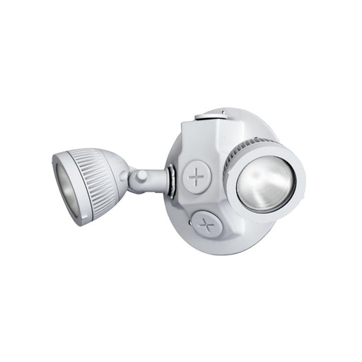 Dual-Lite DLRWD Outdoor LED Remote Head, Double Lamp