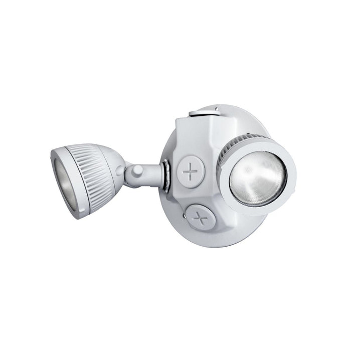 Dual-Lite DLRWD Outdoor LED Remote Head, Double Lamp