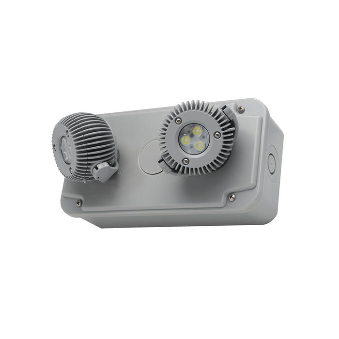 Dual-Lite DYNRD-4X Dynamo Series 6W LED Double Remote Head, NEMA 4X/ IP66 Rated