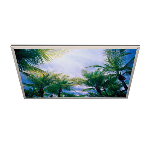 Fail-Safe CV-LEL-G Visual Therapy, Recessed Mount