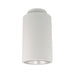 Halo Commercial HCC6S20 6" 20.9W LED Surface Mount Cylinder, 2000 Lumens, 120-277V - Matte White