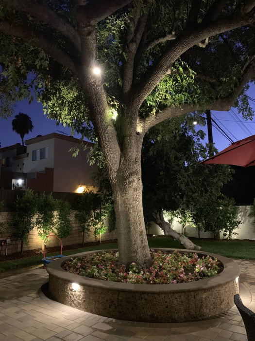 ABBA HLB01 3" LED Hanging Spot Light, Brass, 12V