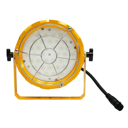 Westgate LDL-R 63W LED Loading Dock Light, 5700K, 120V
