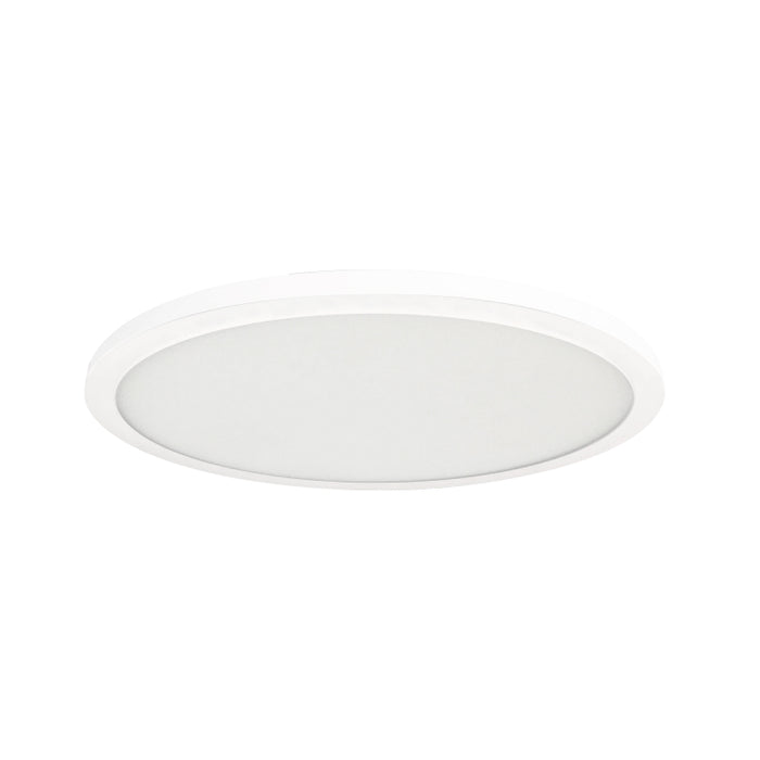 Nora NELOCAC-16R 16" ELO 20W LED Surface Mount
