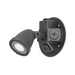 Dual-Lite OCR-03L Series Outdoor LED Remote Light, Single Head