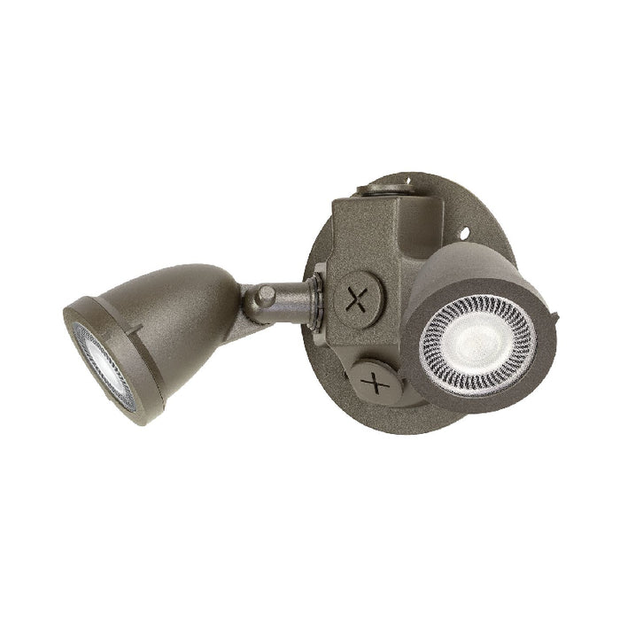 Dual-Lite OCR-03L Series Outdoor LED Remote Light, Double Head