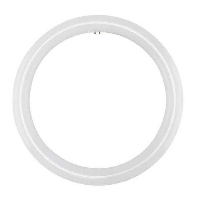 Satco S16505 16W 12" T9 LED Circline Bulb, 6500K, 20-Pack