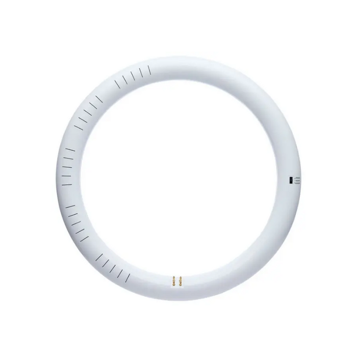 Satco S16511 16W T9 LED Circline Bulb, G10q Base, 3CCT Selectable, 120-277V, Type A/B