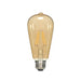 Satco S9577 2.5W LED Filament Bulb, ST19, 2000K, E26 Base, 120V