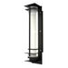 Sarin Colossal 10W 35" Tall LED Outdoor Wall Sconce - Frosted