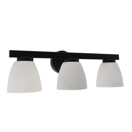 Westgate VLA-E26-3L 3-lt 24" Vanity Light - Black