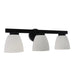 Westgate VLA-E26-3L 3-lt 24" Vanity Light - Black