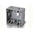 Westgate W2DB75-7X Two-Gang Deep Box, 3/4" Trade Size, 7 Outlet Holes