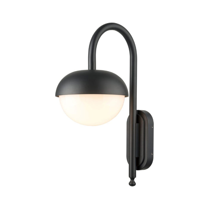 Sarin WL5581 40W 21" Tall Outdoor Wall Sconce