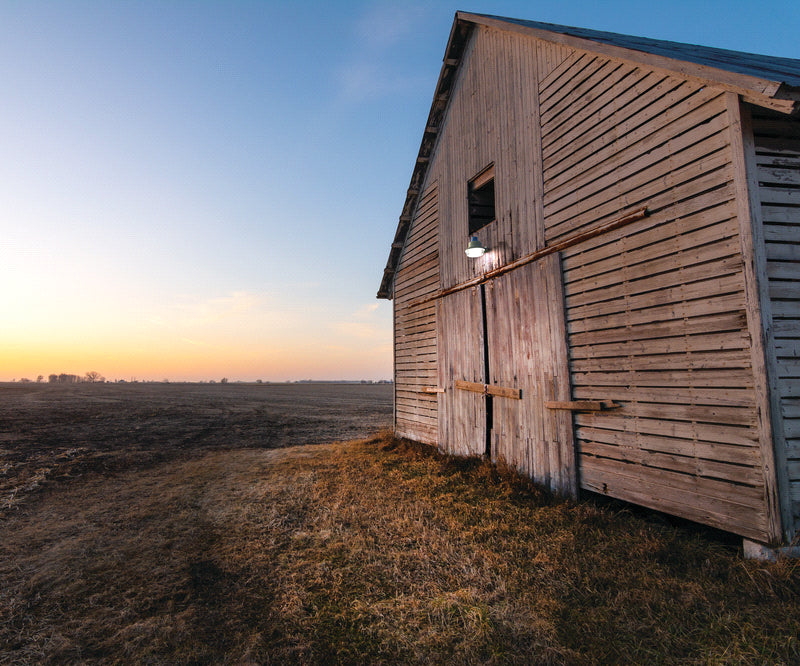 Lithonia Contractor Select BGR ALO BarnGuard LED Security Light, Selectable CCT & Lumens