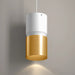 Westgate CMC6-2TONE 6" 18W/24W/30W LED 2-Tone Architectural Ceiling Cylinder, 3CCT Selectable, 120–277V