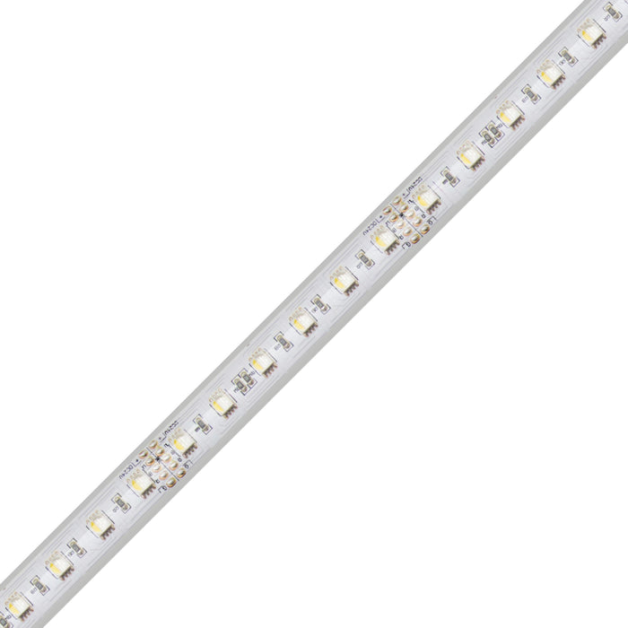 Diode LED DAZZLE RGBW 4D Wet Location 24V 6.4W/Ft,  Color Changing LED Tape Light, 16 ft