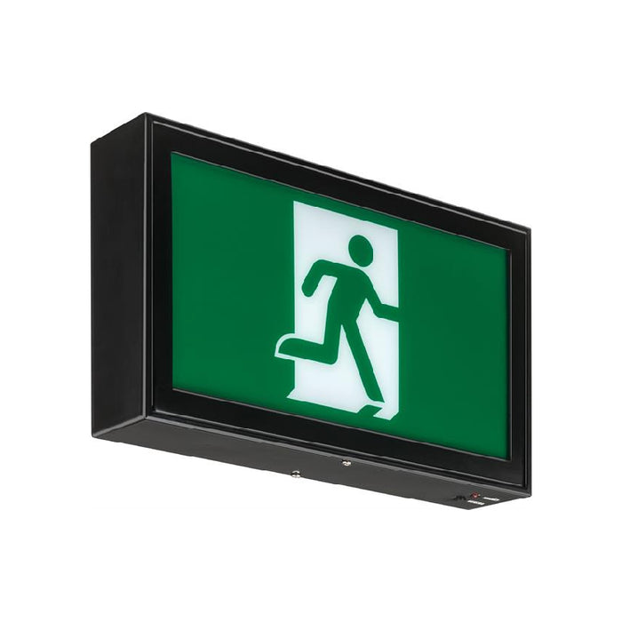 Lithonia EARM Signature Extruded Aluminum Running Man Sign, Nickel-cadmium Battery, Double face, Self-diagnostics, 120V