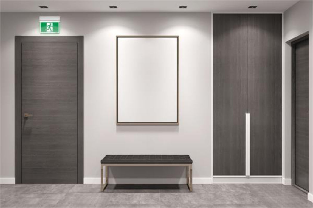 Lithonia EDGRM Quantum Extruded Aluminum Edge-Lit Running Man Sign, Nickel Metal Hydride, 120-347V