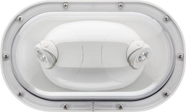 Lithonia ELMRE Quantum LED Adjustable Emergency Remote Light Head, Single Head, 110lm