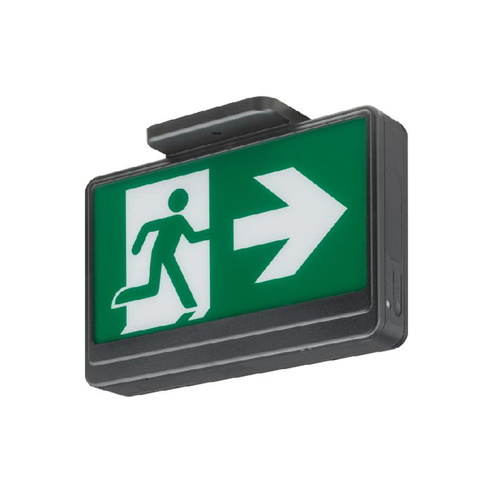 Lithonia EXRM Basics Thermoplastic Running Man Sign, Nickel Cadmium Battery, 120/347V