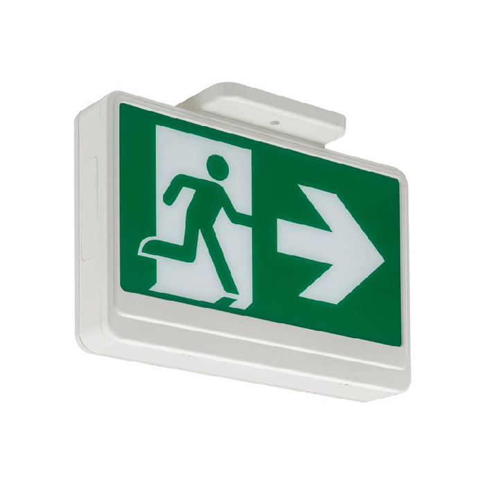 Lithonia EXRM Basics Thermoplastic Running Man Sign, AC only, 120/347V