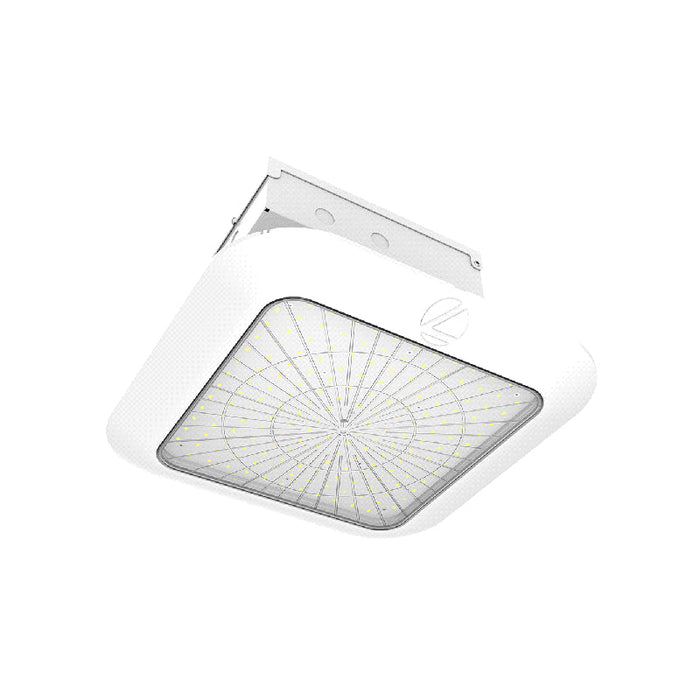 Lithonia SCNY 46W/62W/84W Soffit LED Canopy Light, Lumens Selectable