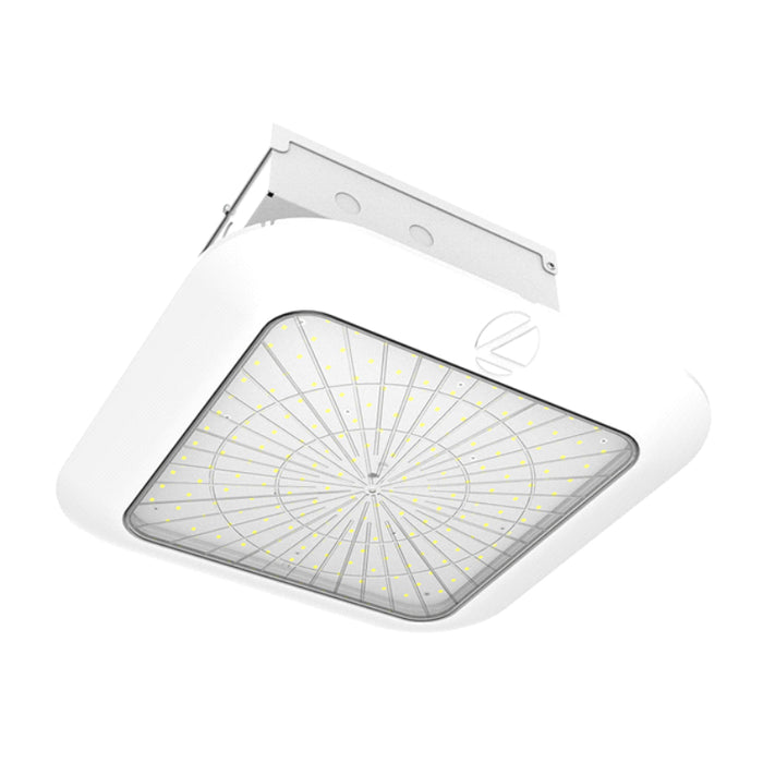 Lithonia PCNY LED 25W-131W Petroleum LED Canopy Light, Lumens Selectable, 5700K