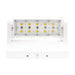 Westgate LW360 25W LED Rotatable Wall Packs