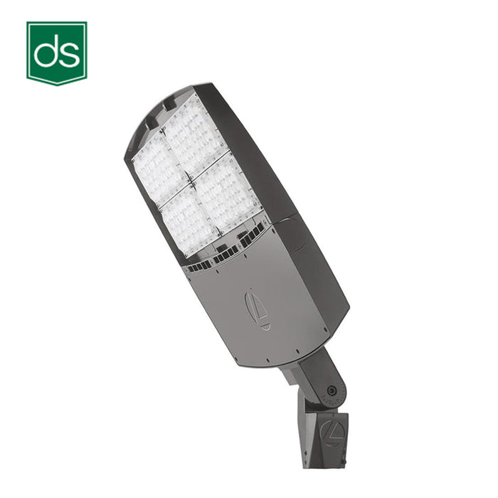 Lithonia Design Select RSXF4 LED Flood Light