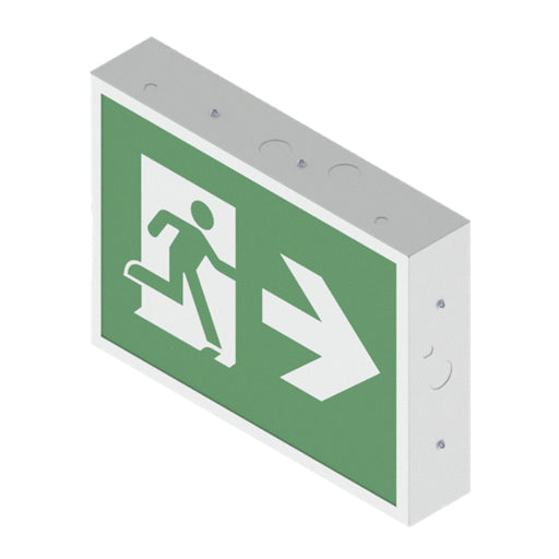 Lithonia TCE Indura Steel Running Man Sign, Battery Backup, High-Output