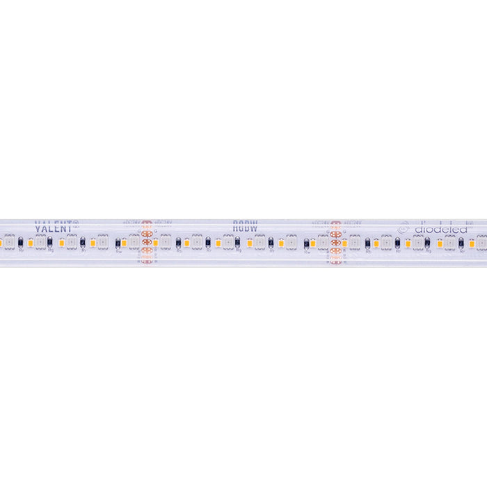 Diode LED Valent RGBW Wet Location 24V 6.1W/Ft, Color Changing LED Tape Light, 16.4 ft. Spool